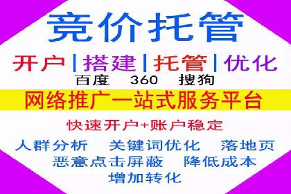 SEM推广代运营公司成功案例解析